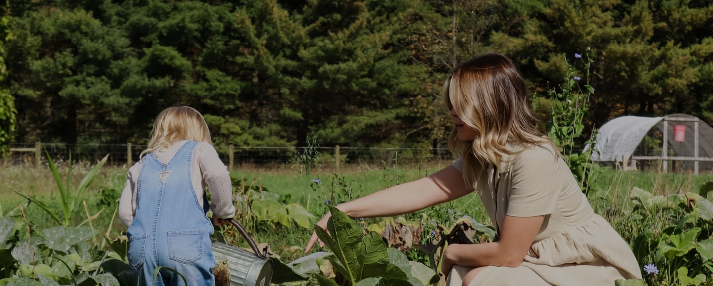 Homestead Kitchen Background