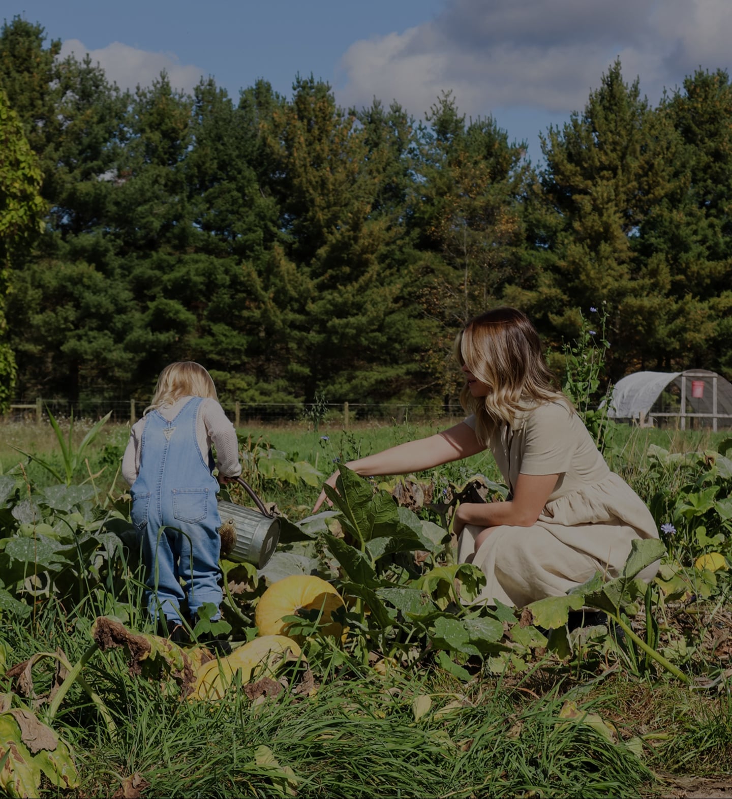 Homestead Kitchen Background Mobile