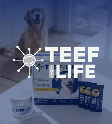 TEEF for Life