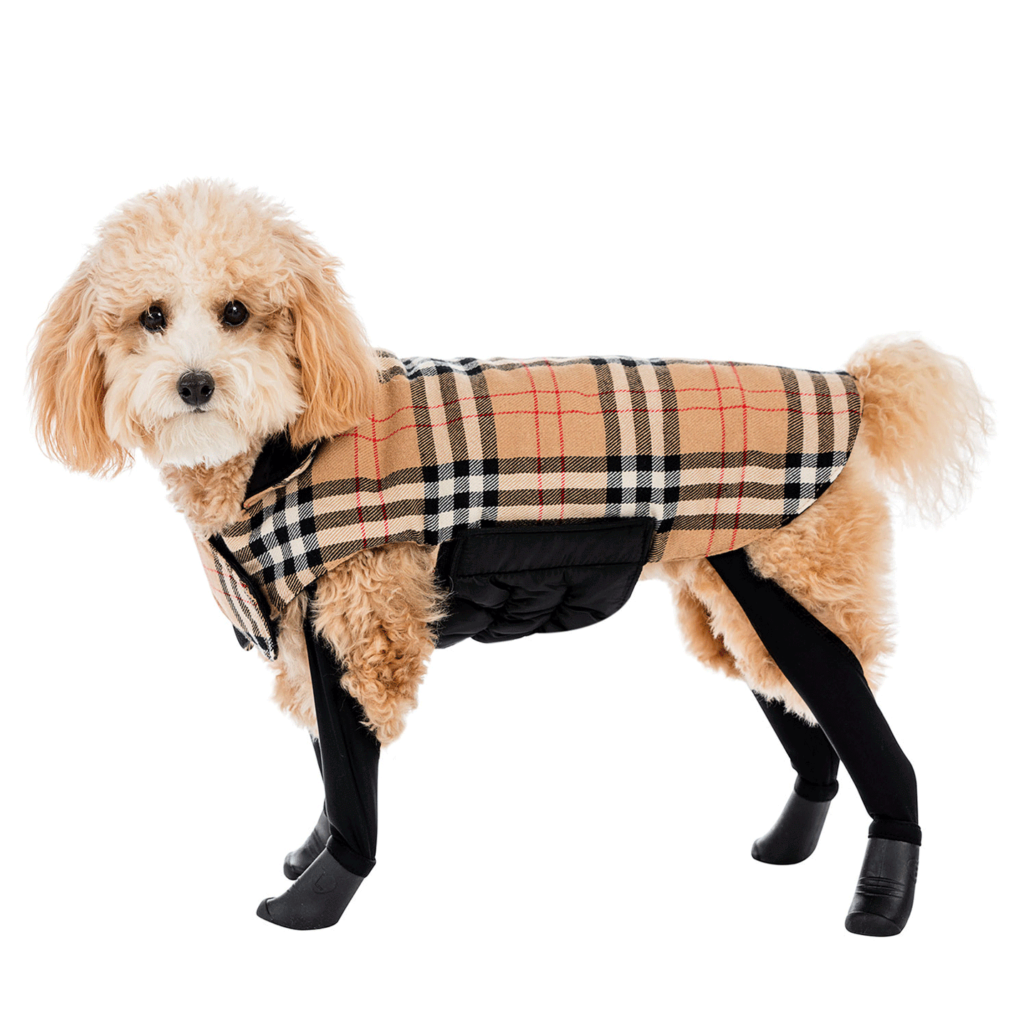 2-in-1 Waterproof Coat
