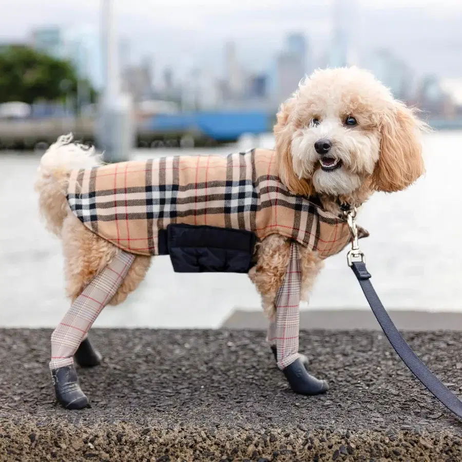 2 in 1 Waterproof Coat