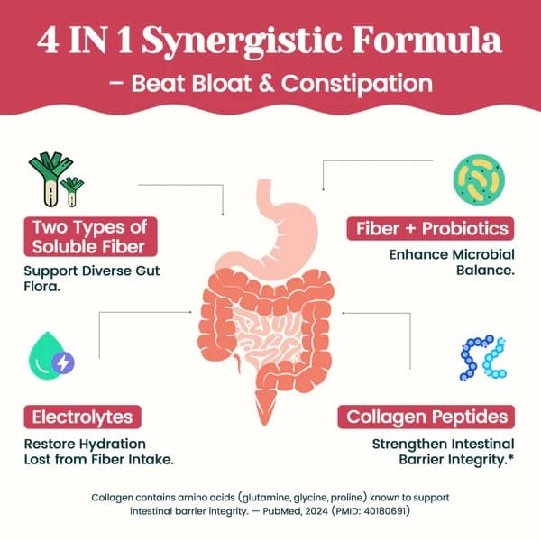 4-in-1 Fiber Supplement - Cherry - Daily Fiber Powder with Probiotics, Collagen Peptides & Electrolytes for Gut Health, Digestion & Appetite Support