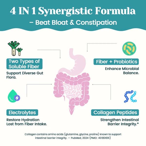 4-in-1 Fiber Supplement - Strawberry Lemonade - Advanced Gut Health Powder with Probiotics, Collagen Peptides & Electrolytes for Digestive Support, Appetite Control & Daily Wellness