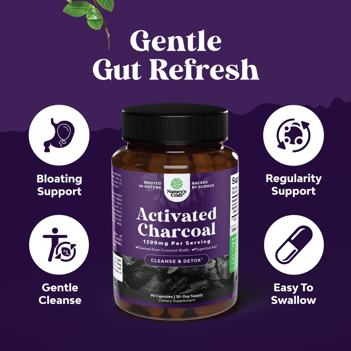 Activated Charcoal  1200mg per serving