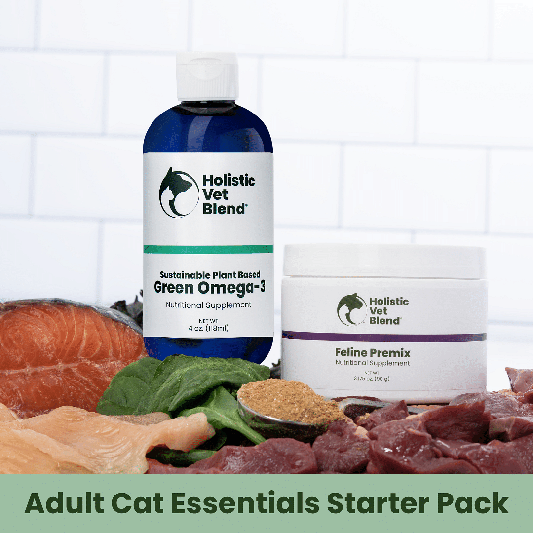 Adult Cat Essentials Starter Pack