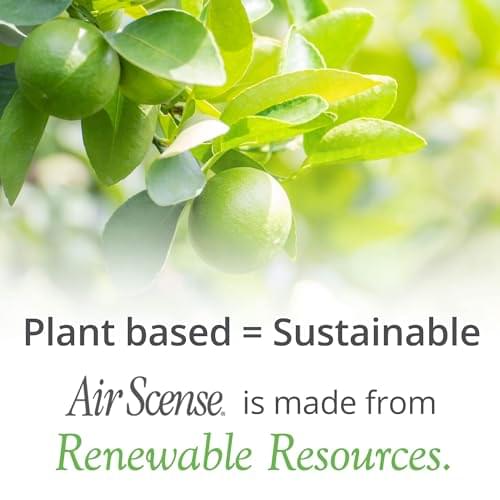 Air Scense Lime 12-Pack