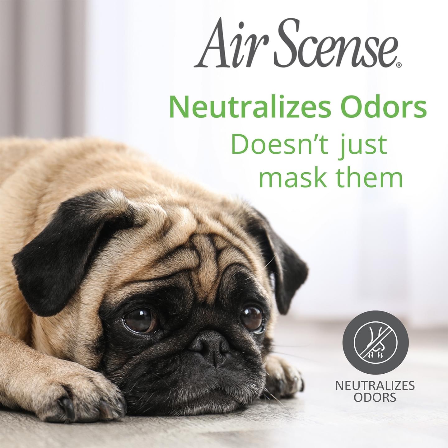 Air Scense Lime