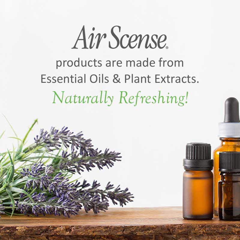 Air Scense Variety 4-Pack