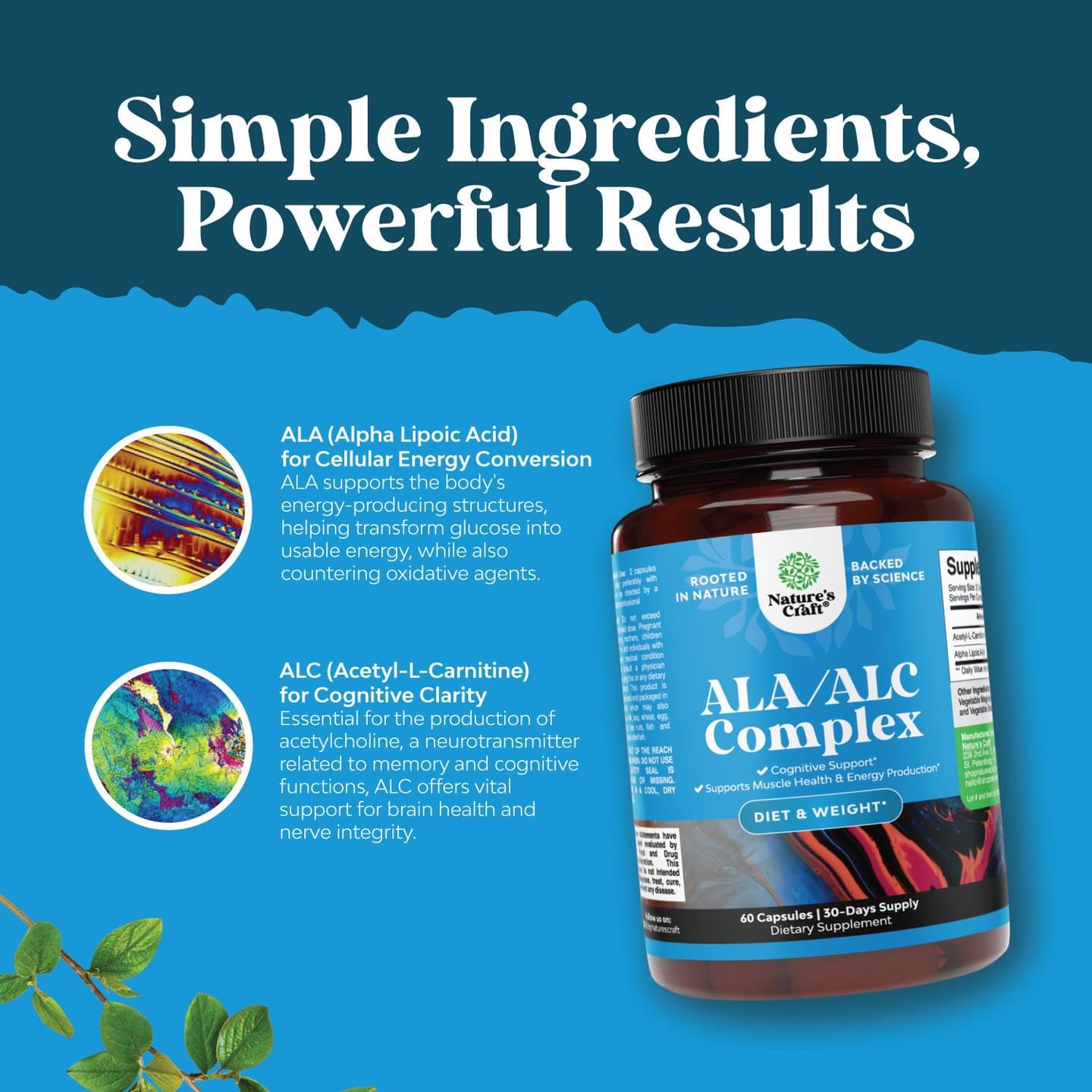 ALA/ALC Complex - 60 Capsules