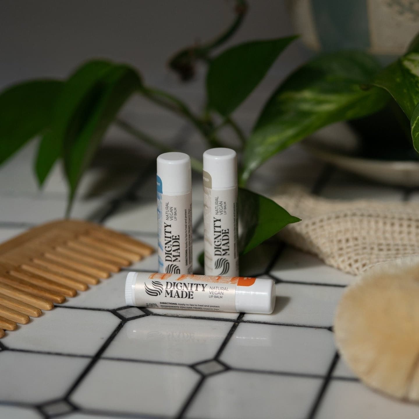 All Natural Vegan Lip Balms - With Coconut Oil, Cocoa Butter & Vitamin E – Chemical-Free Hydrating Balm for Dry, Chapped Lips - 3-Pack Basic