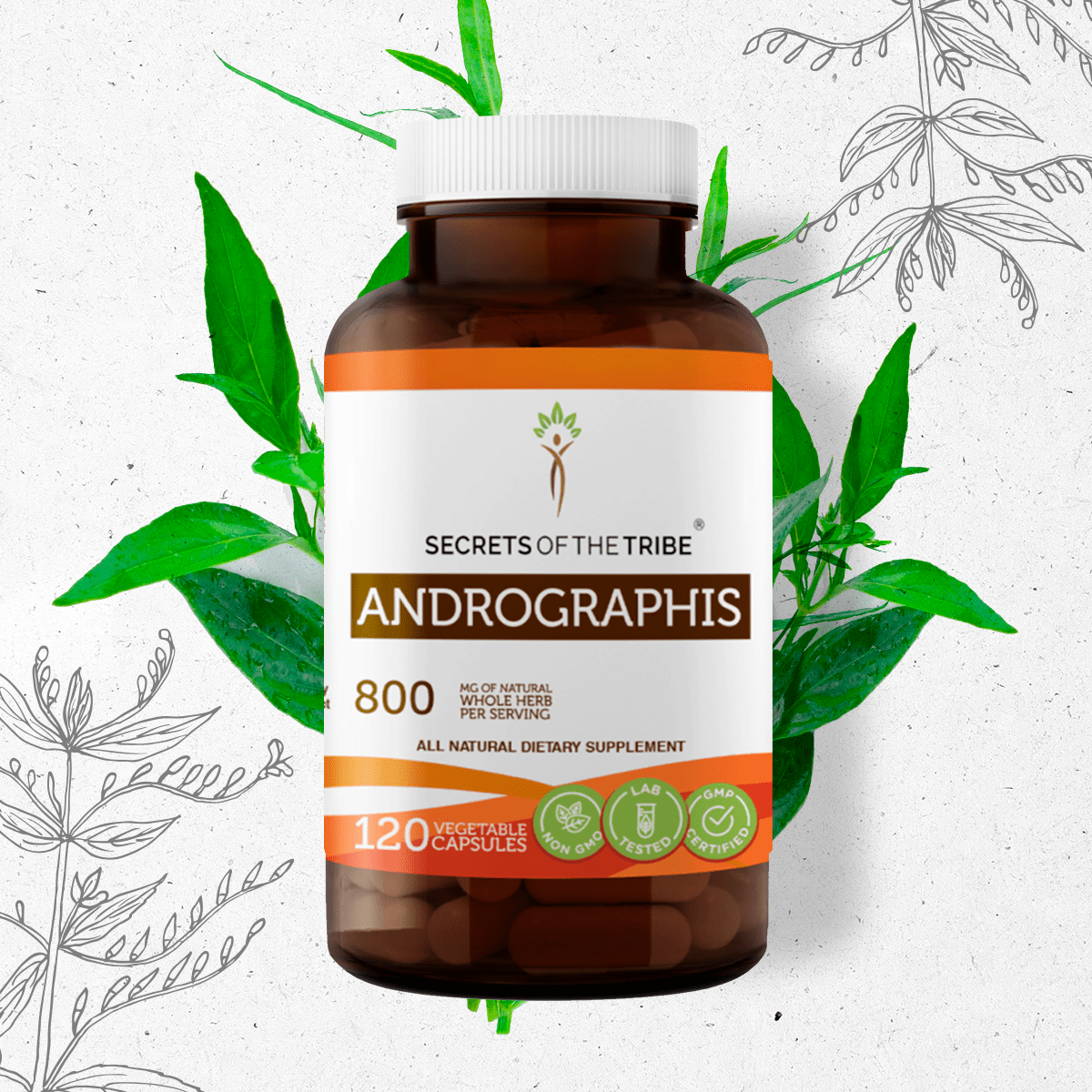 product-image-2