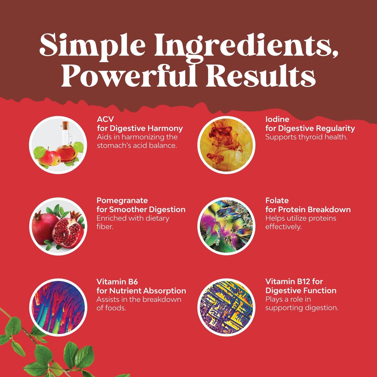 Apple Cider Vinegar Gummies - Apple Flavor