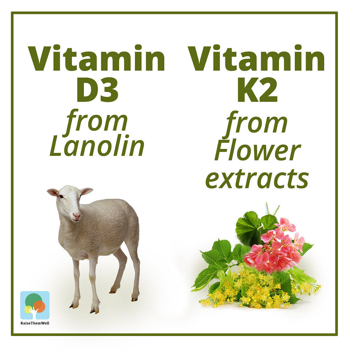Baby Vitamin D3 and K2 Drops