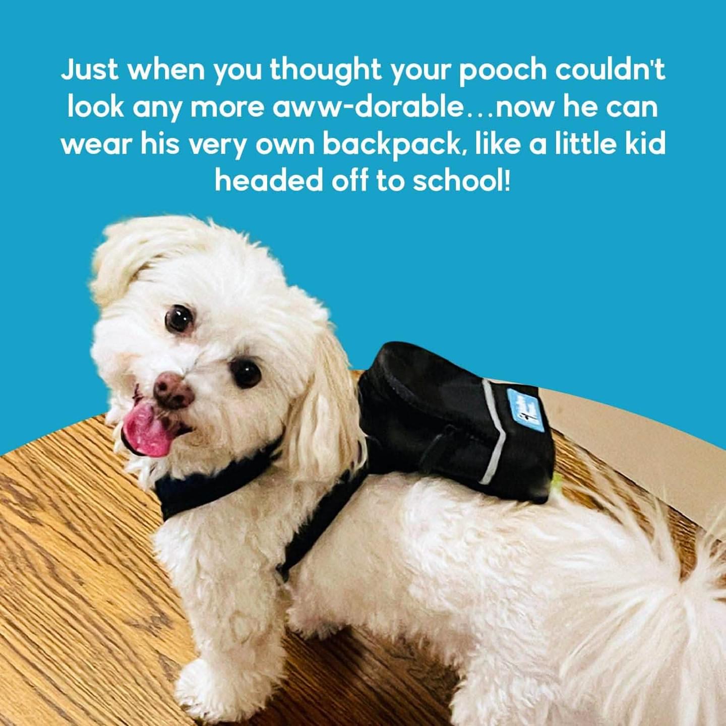 BarkPack