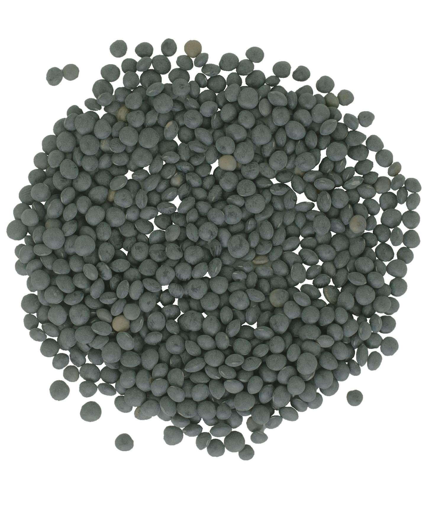 Beluga Lentils | 4 LB