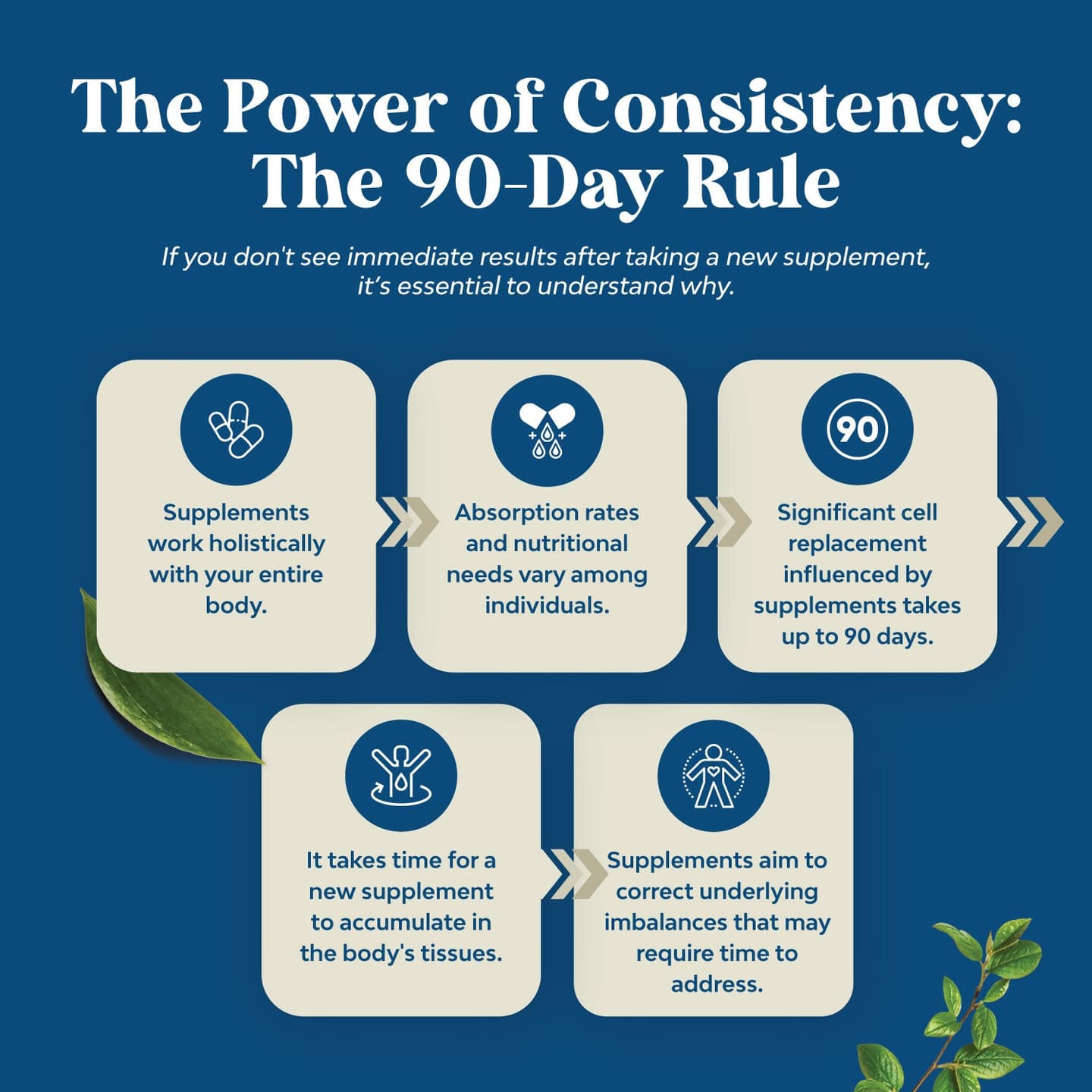 Berberine with Ceylon Cinnamon 1200mg per serving