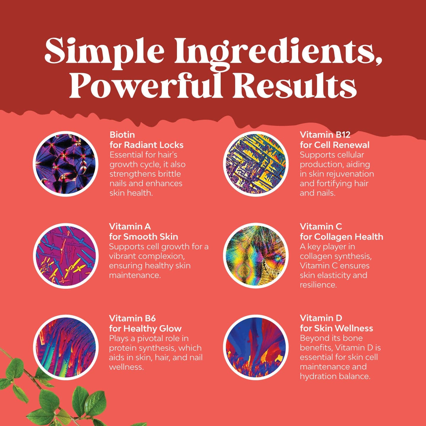 Biotin Gummies 5000mcg per serving