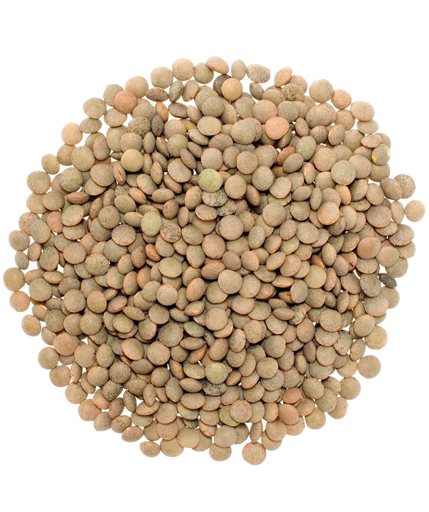 Brown Lentil Pack | 15 LBS