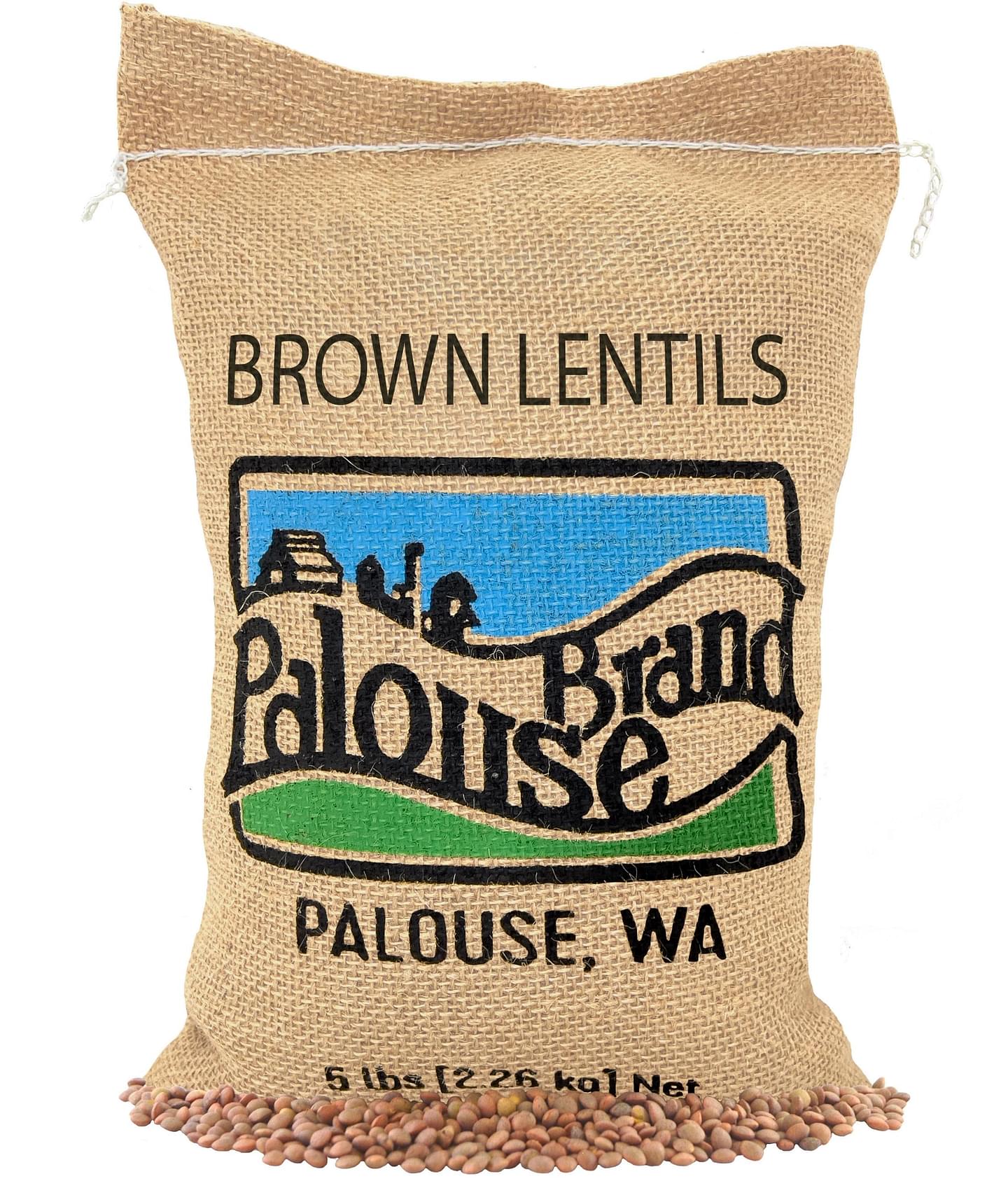 Brown Lentils | 5 LB