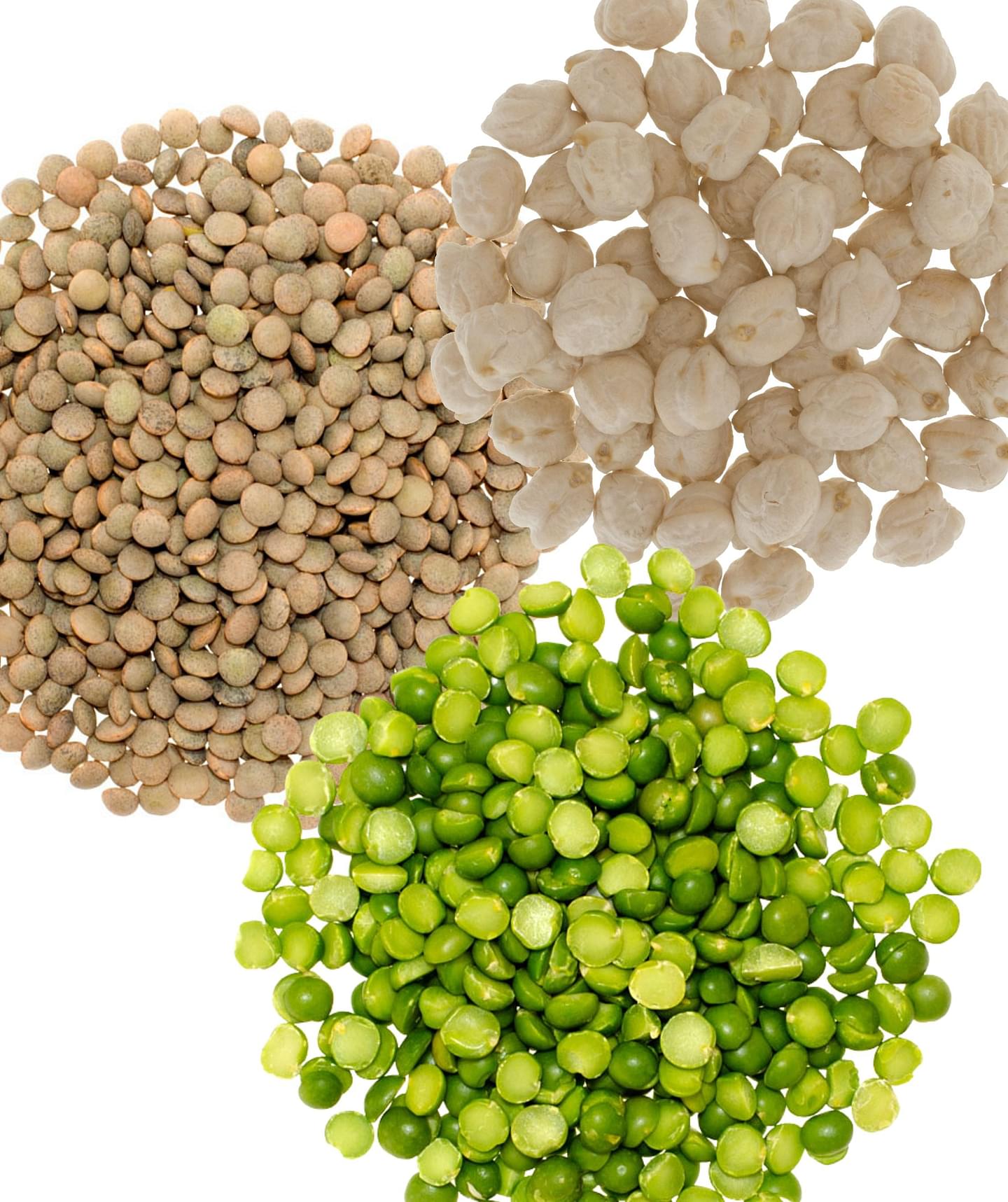 Bulk Variety Legume Bundle | 75 LBS