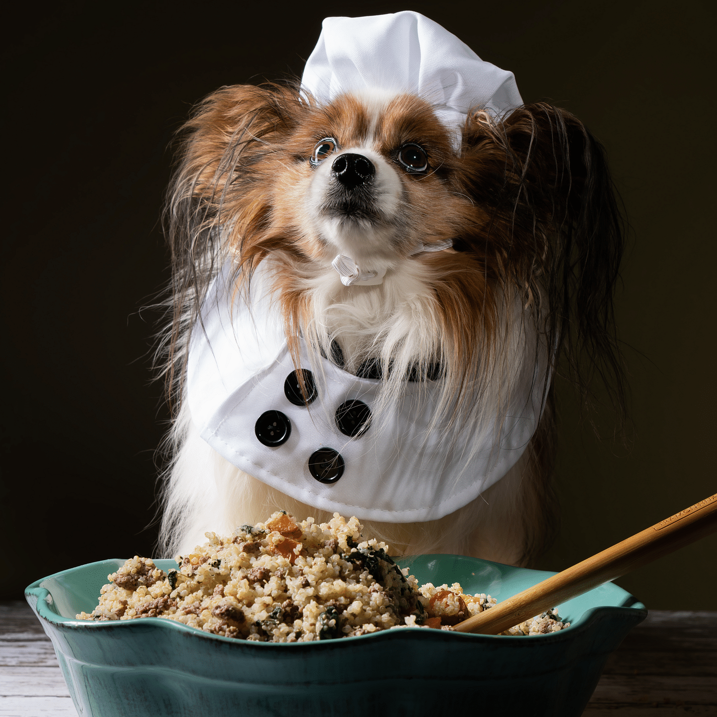 Canine Regular Premix with Grass-fed Beef Liver