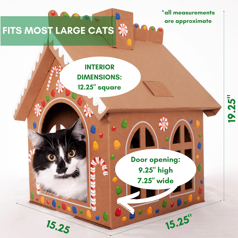 product-image-3