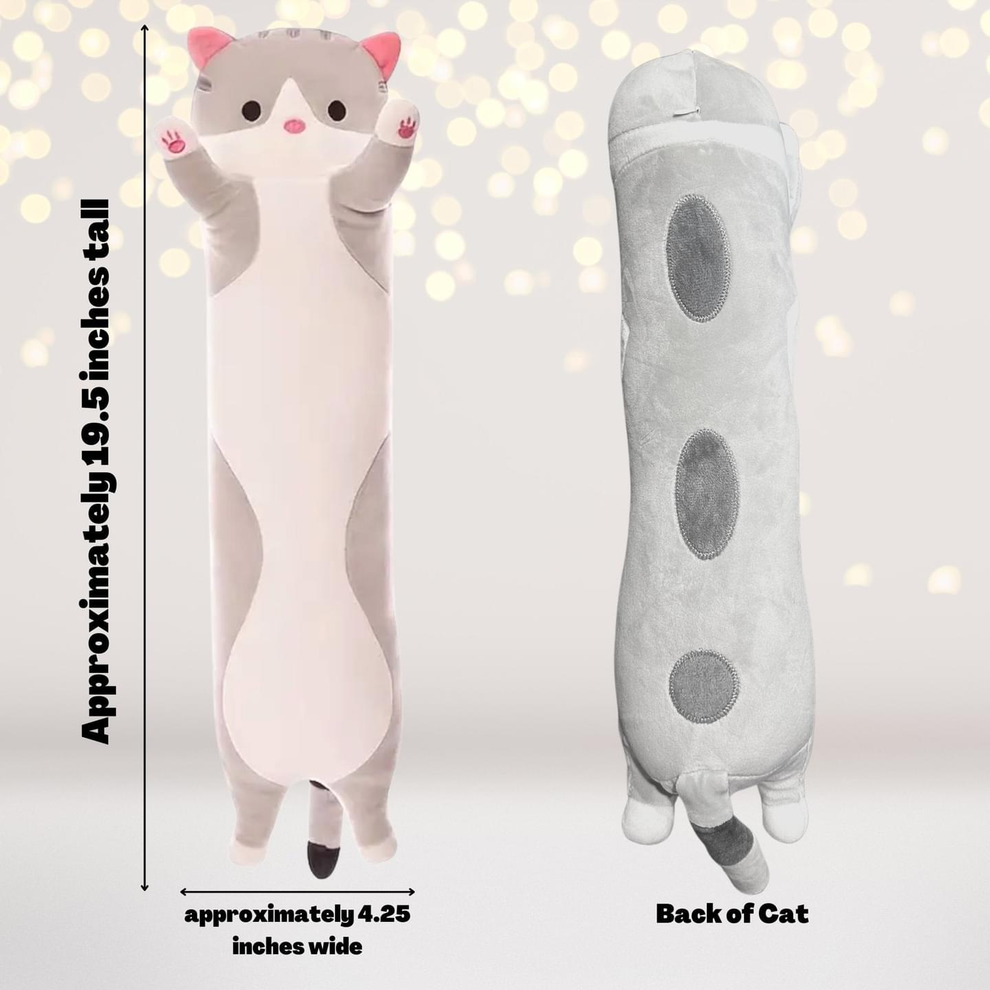 Cat Birthday Party Sleepover Party Supplies Box
