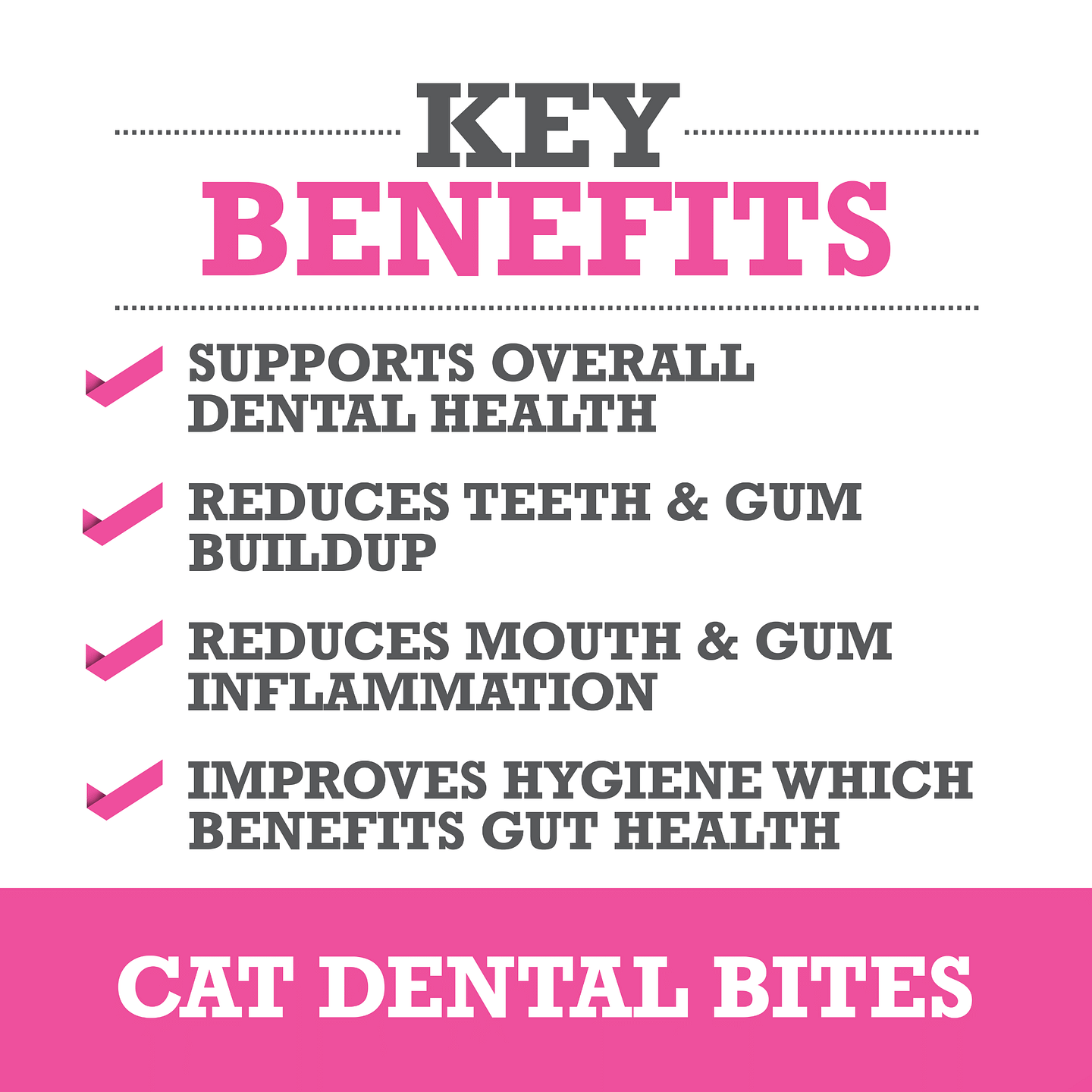 Cat Dental Bites