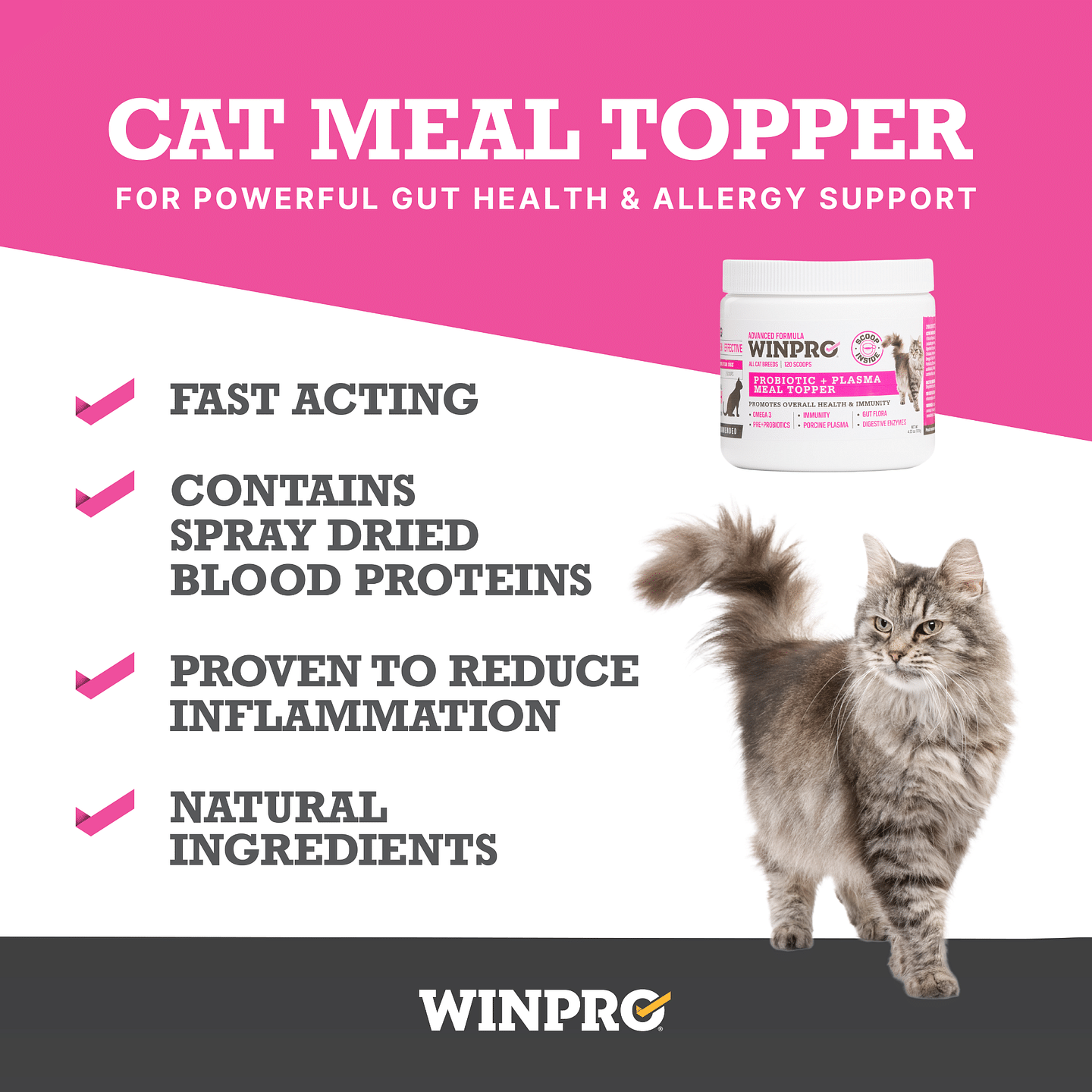 Cat Probiotic + Plasma Meal Topper
