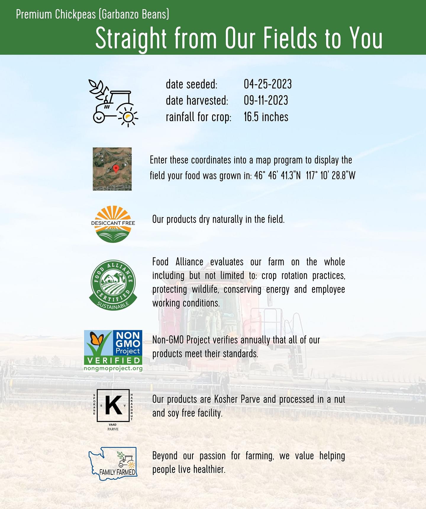 Chickpeas Pack | 15 LBS