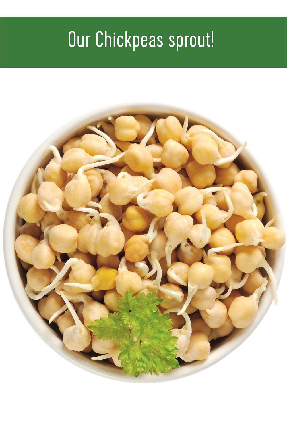 Chickpeas Pack | 15 LBS