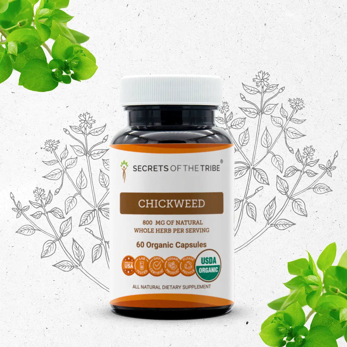 product-image-2