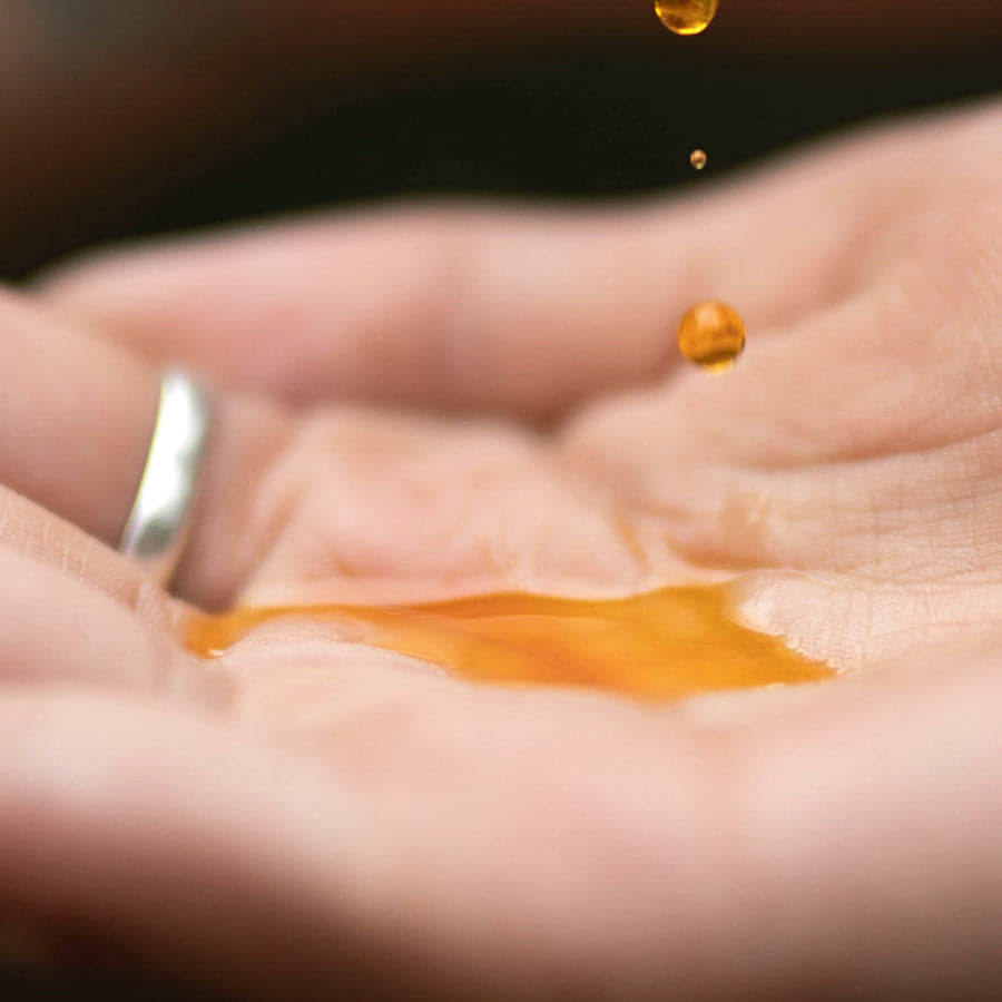 Chilean Wild Rosehip Seed Oil – 100% Pure Wild-Harvested Organic Facial Oil