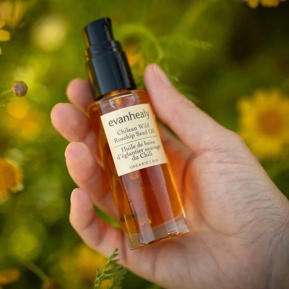 Chilean Wild Rosehip Seed Oil – 100% Pure Wild-Harvested Organic Facial Oil