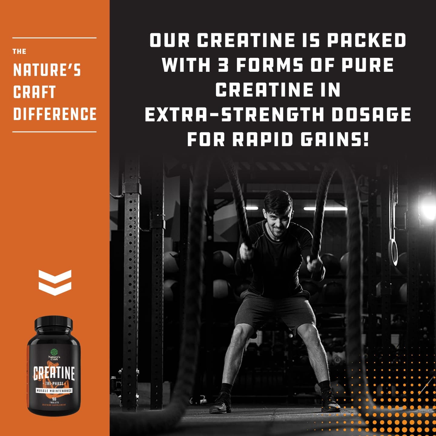 Creatine Tri-Phase