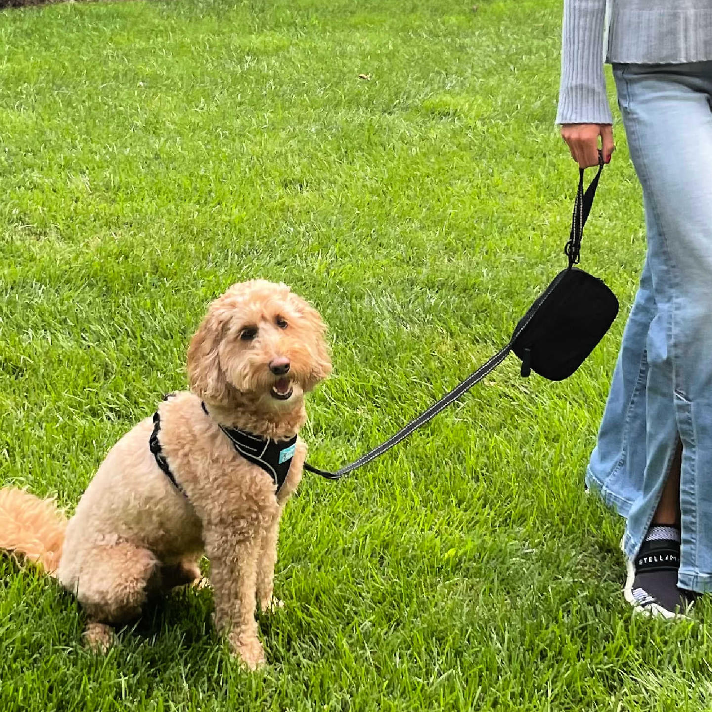 Cross Body Dog Walking Bag with Convertable Leash