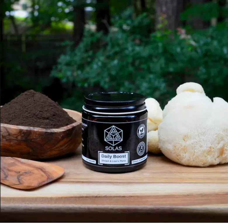 Daily Boost – Shilajit & Organic Lion’s Mane Mushroom Supplement for Energy, Focus & Stamina – Natural Adaptogen & Nootropic Blend