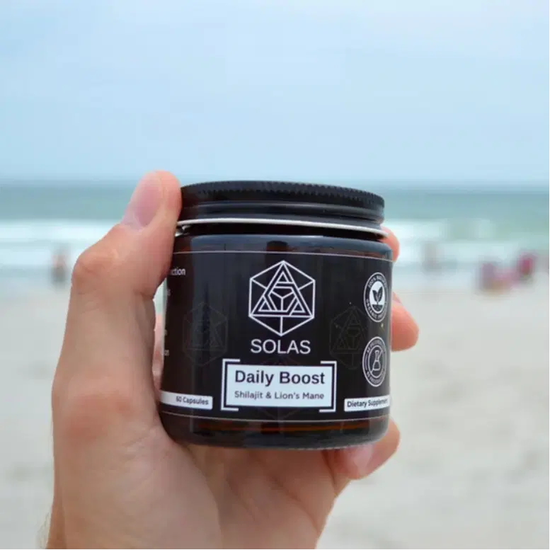 Daily Boost – Shilajit & Organic Lion’s Mane Mushroom Supplement for Energy, Focus & Stamina – Natural Adaptogen & Nootropic Blend