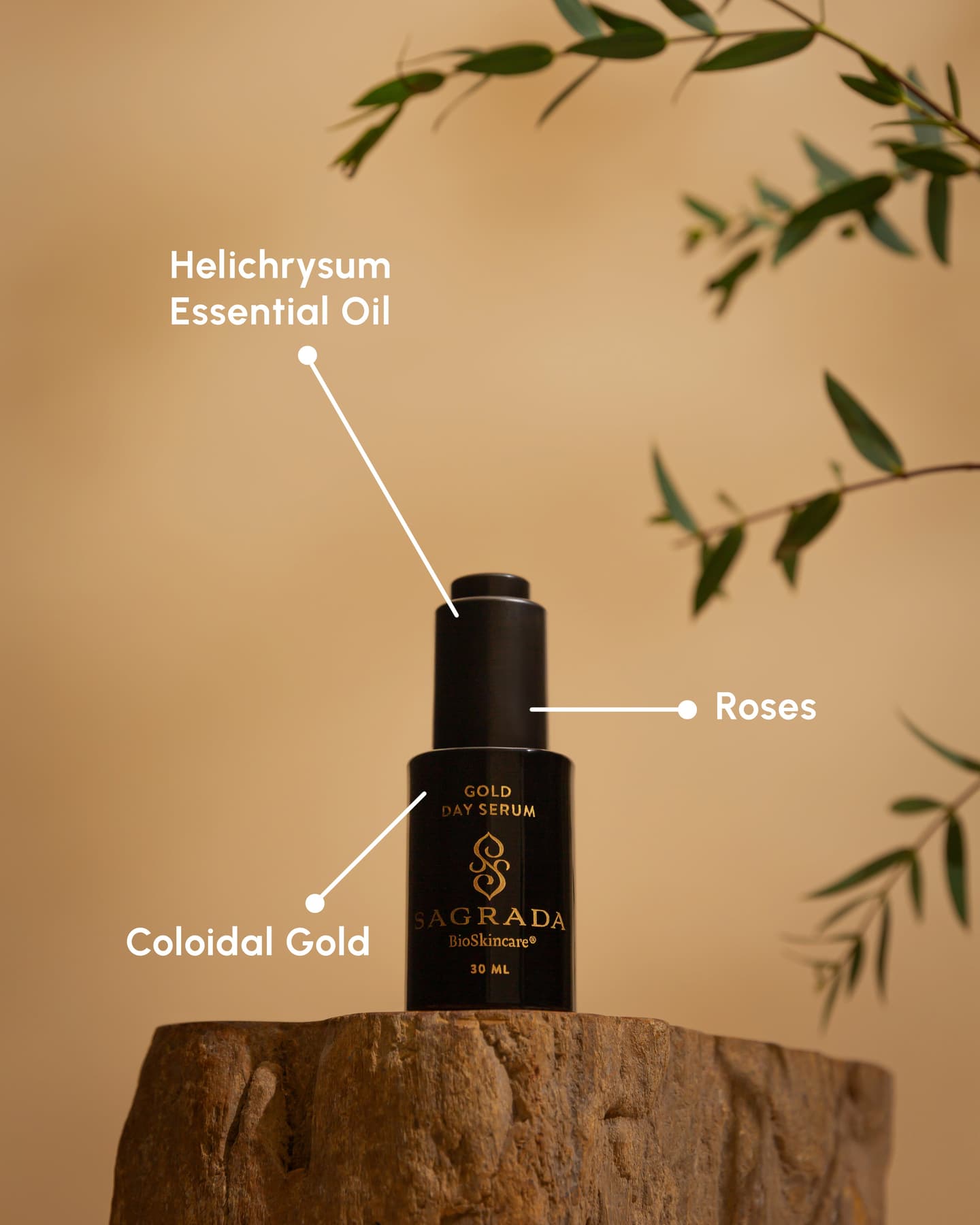 product-image-4