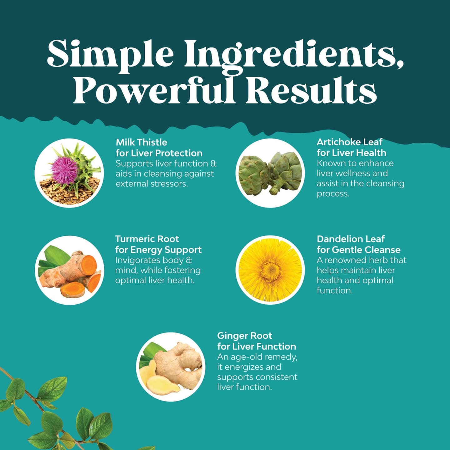 Deep Cleanse Liver Drops