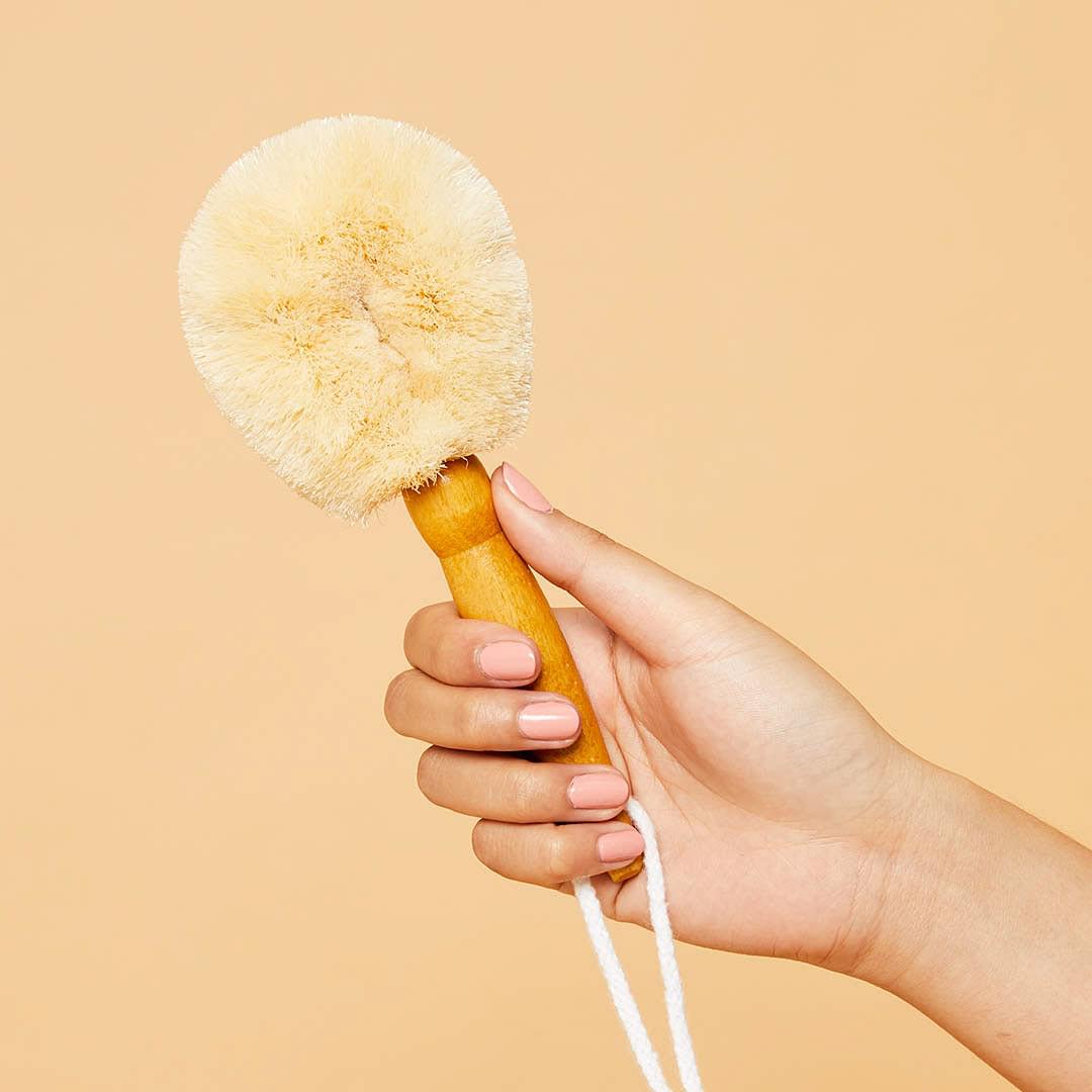 Detox Dry Brush Kit: Dry Body Brush and Raw Coconut Oil