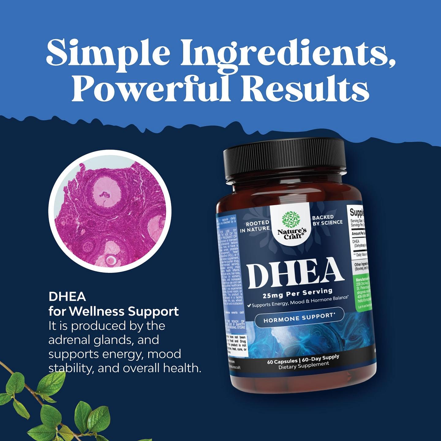 DHEA 25mg per serving