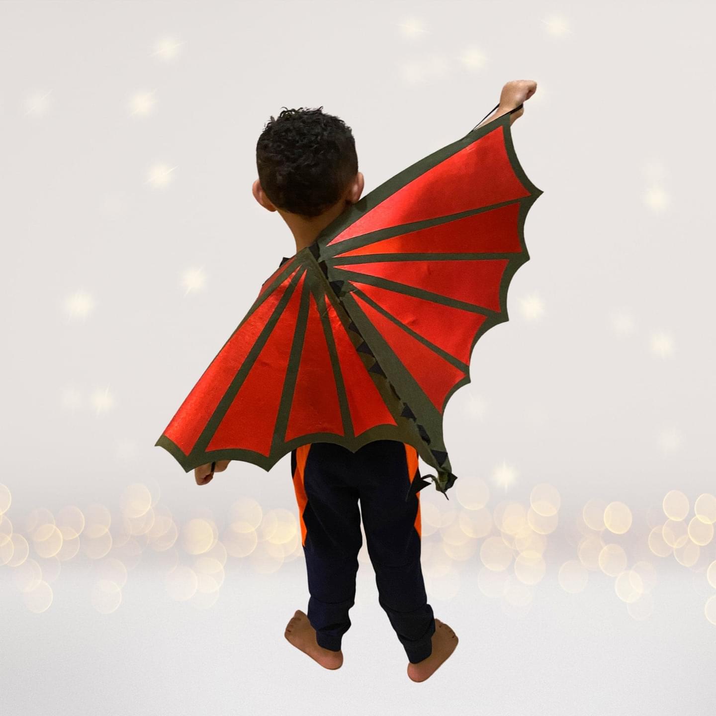 Dragon Wings Costume