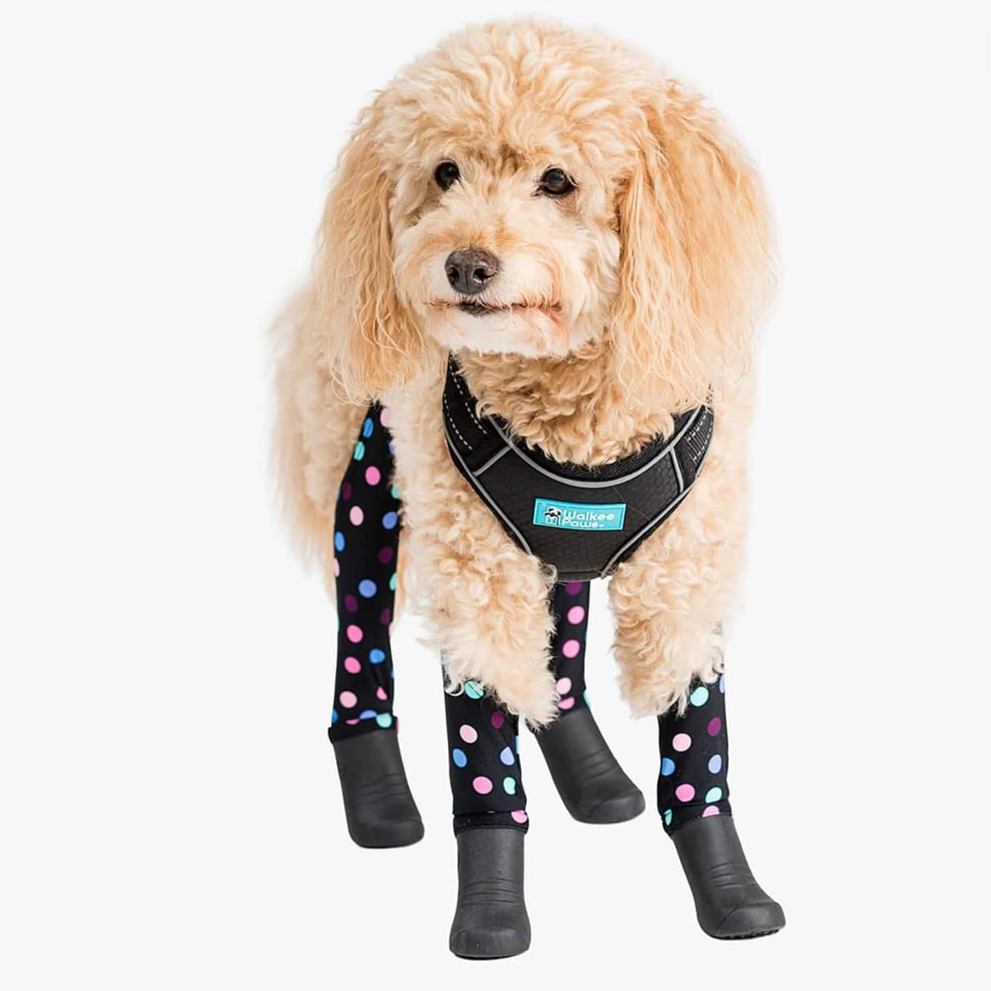 Easy-On Dog Harness
