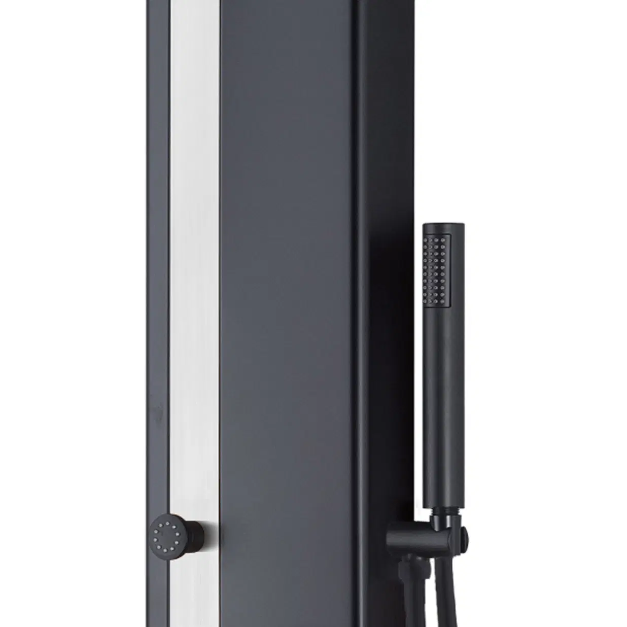 Eclipse 8-in Rain Showerhead ShowerSpa with 4-Body Jets and Handshower Bamboo and Brushed Stainless Steel