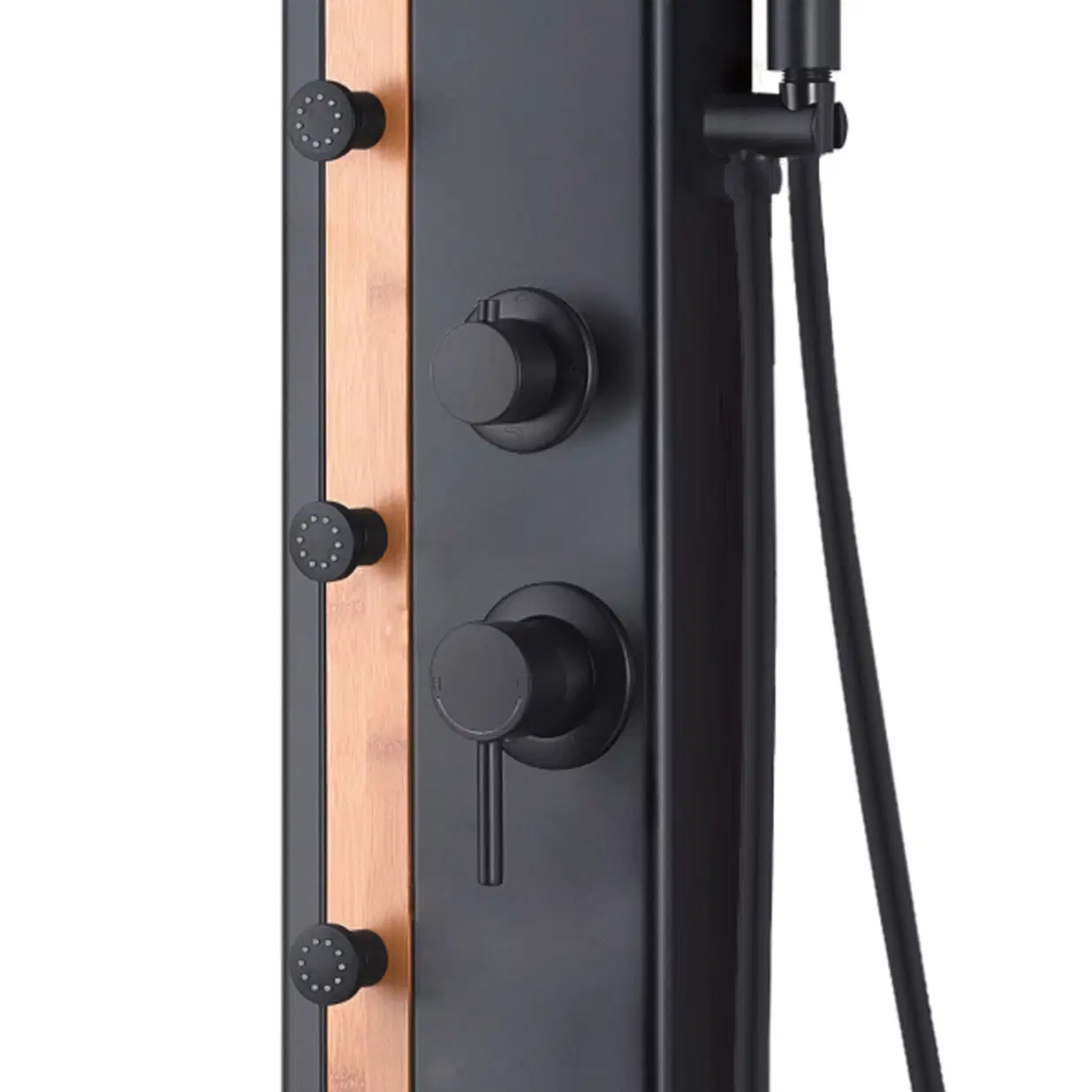 Eclipse 8-in Rain Showerhead ShowerSpa with 4-Body Jets and Handshower Bamboo and Matte Black 1.8 GPM