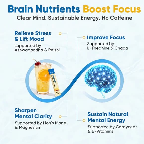 Focus Electrolyte Drink Mix - Fruit Punch - Hydration Powder with 7 Electrolytes, Vitamins, Functional Mushrooms & Adaptogens for Energy, Focus & Daily Recovery