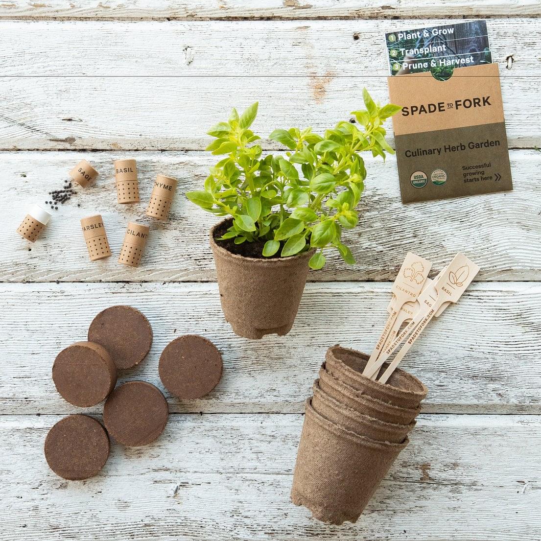 Gift Box Set - Culinary Herbs Kit + All Purpose Fertilizer