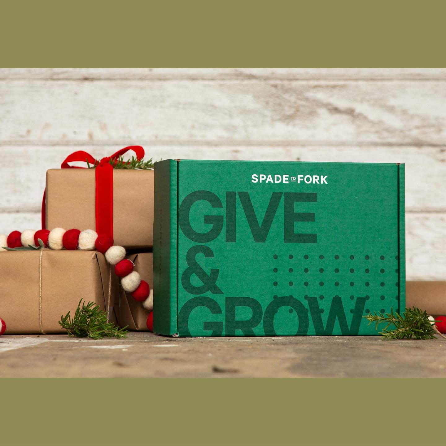 Gift Box Set - Culinary Herbs Kit + All Purpose Fertilizer