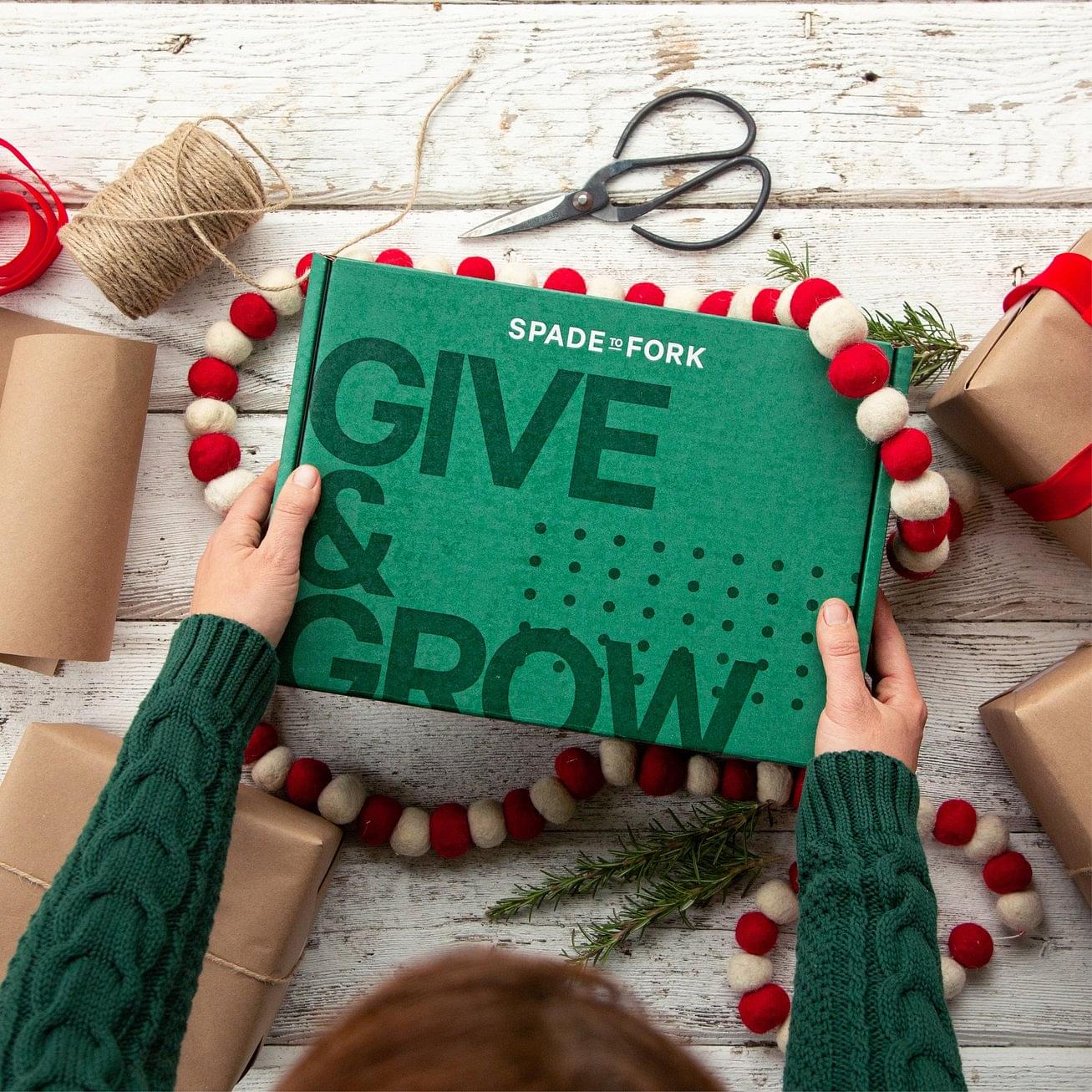 Gift Box Set - Culinary Herbs Kit + All Purpose Fertilizer